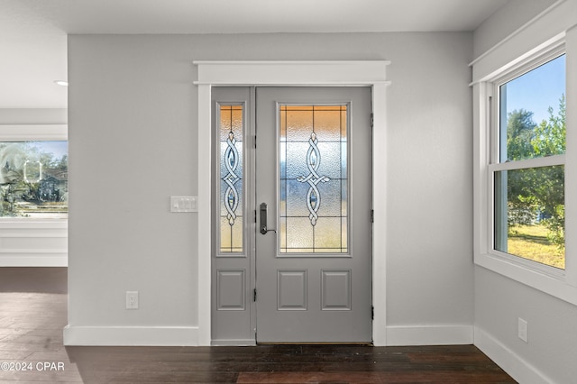 foyer with dark wood-type flooring