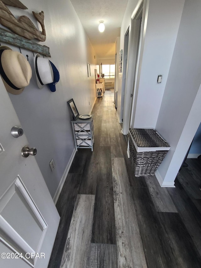 hall with dark hardwood / wood-style flooring