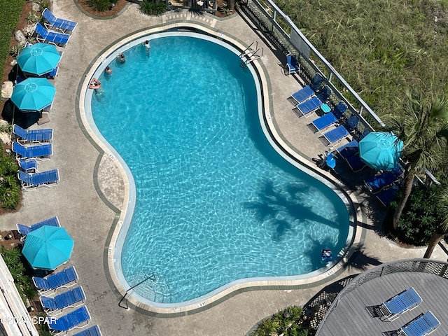 view of pool with a patio area