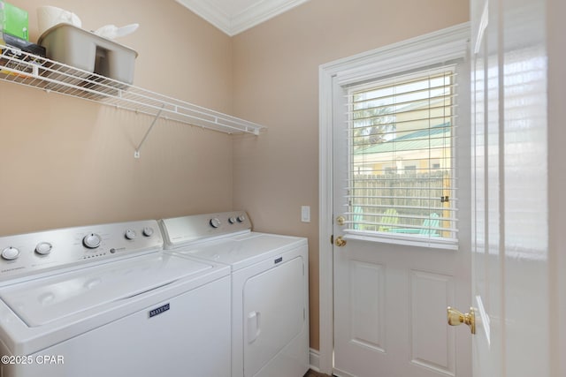 laundry room featuring ornamental molding and independent washer and dryer