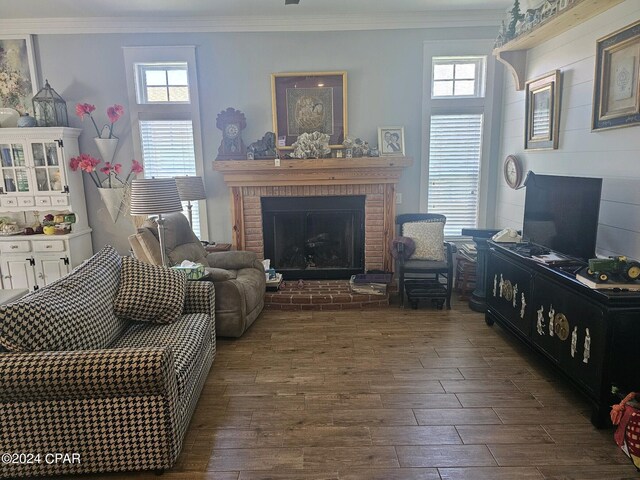 living room featuring ornamental molding, dark hardwood / wood-style floors, and a fireplace