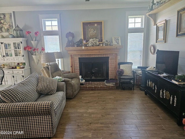 living room featuring a fireplace, ornamental molding, dark hardwood / wood-style flooring, and a wealth of natural light