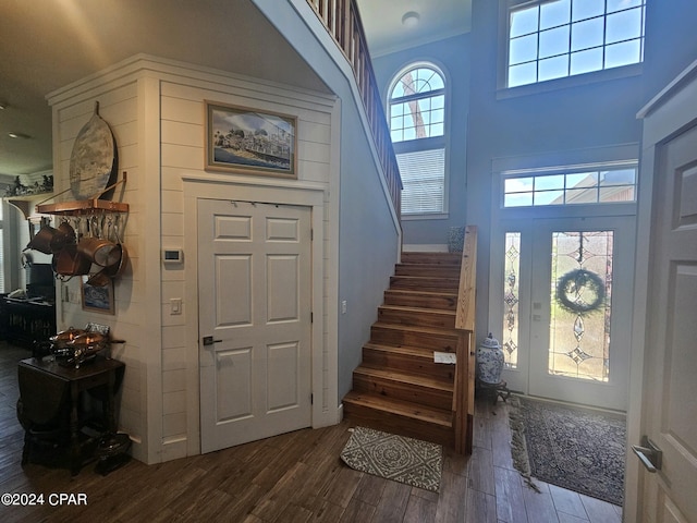 entrance foyer with a high ceiling, dark hardwood / wood-style floors, and plenty of natural light