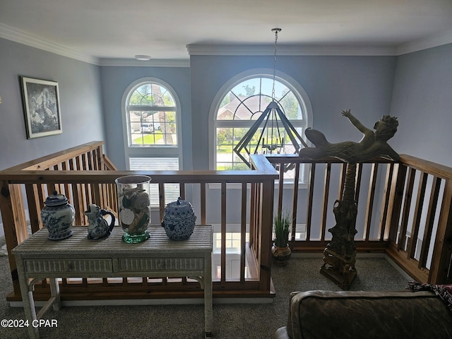 interior space featuring ornamental molding and dark colored carpet