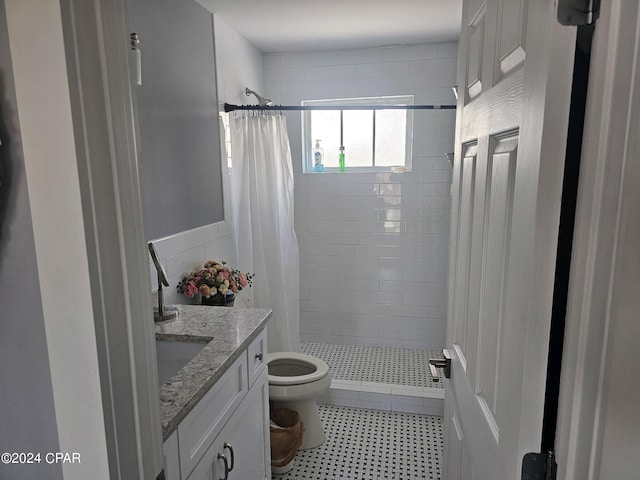 bathroom with vanity, toilet, and a shower with curtain