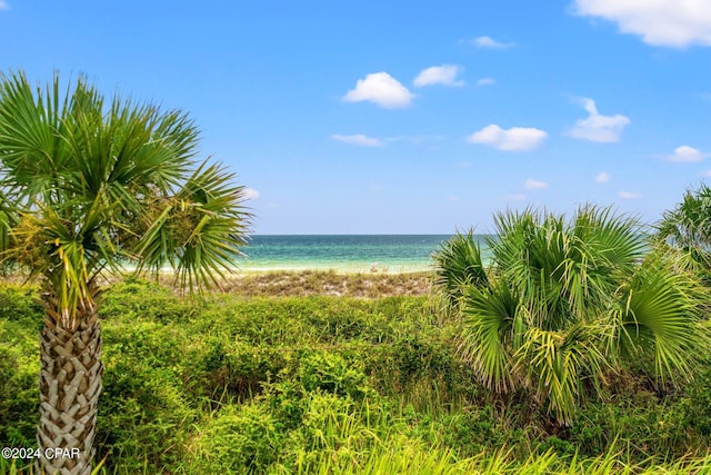 view of water feature with a view of the beach