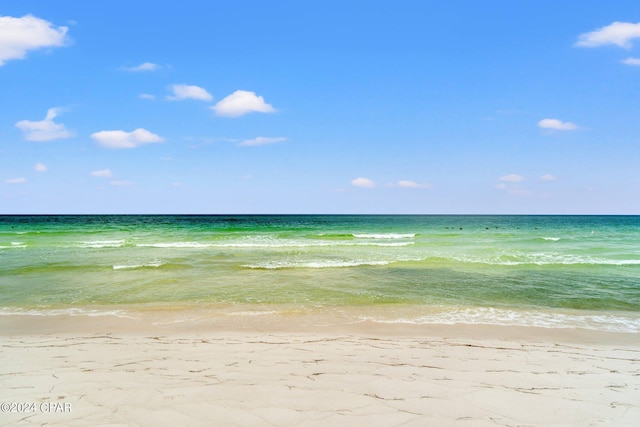 view of water feature featuring a view of the beach