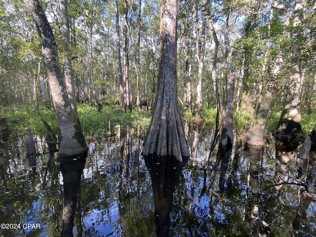 view of nature with a water view