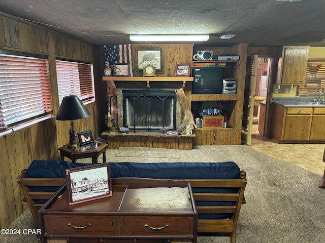 carpeted living room with wood walls and sink