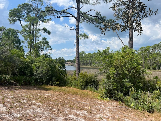 328 Turtle Cv, Panama City Beach FL, 32413 land for sale