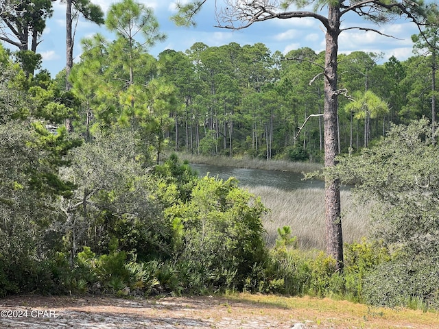 Listing photo 3 for 328 Turtle Cv, Panama City Beach FL 32413