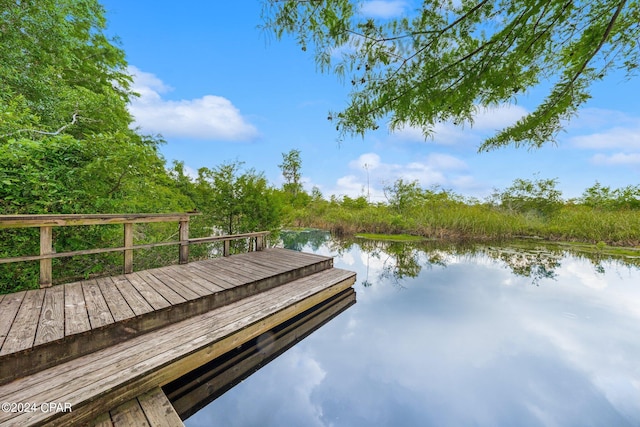 dock area featuring a water view