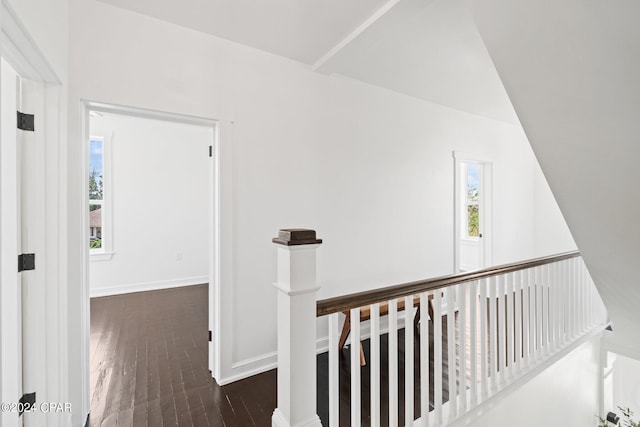 corridor featuring dark hardwood / wood-style flooring, lofted ceiling, and plenty of natural light