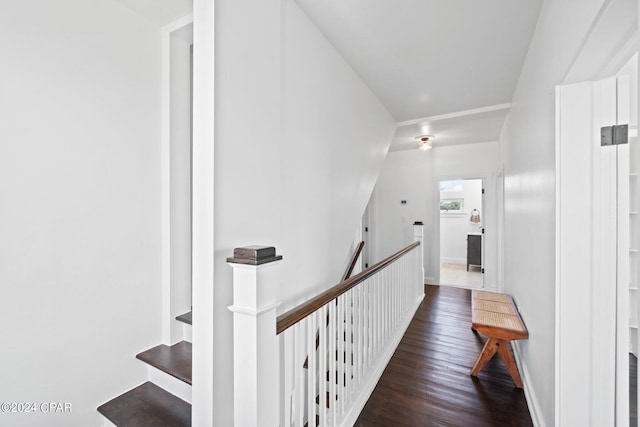 corridor featuring dark hardwood / wood-style floors