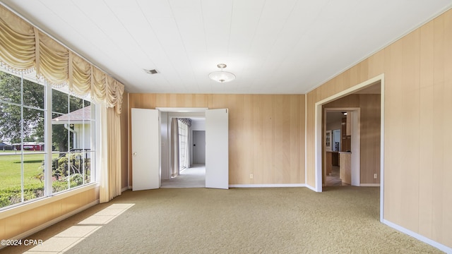 spare room featuring carpet flooring, a wealth of natural light, and wooden walls