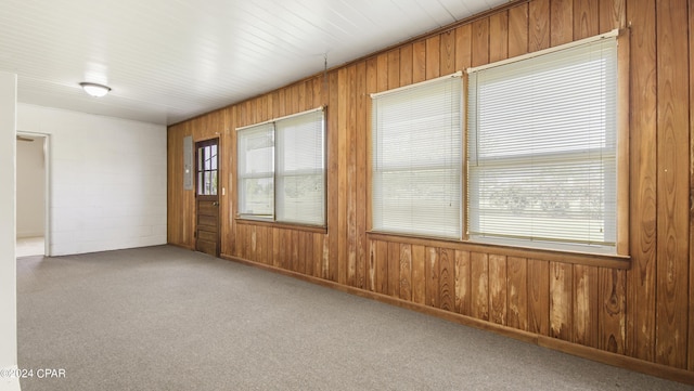 spare room featuring carpet, a healthy amount of sunlight, and wooden walls