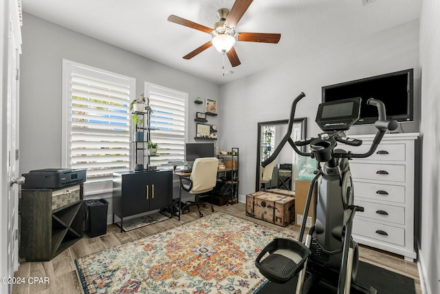 office featuring ceiling fan, plenty of natural light, and light hardwood / wood-style flooring