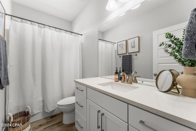 bathroom featuring vanity, hardwood / wood-style flooring, and toilet