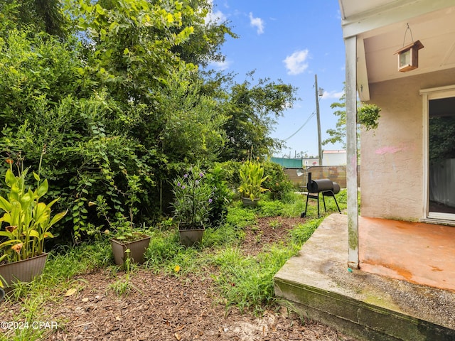 view of yard featuring a patio area