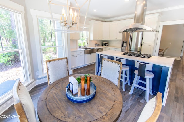 dining space with dark hardwood / wood-style flooring and plenty of natural light