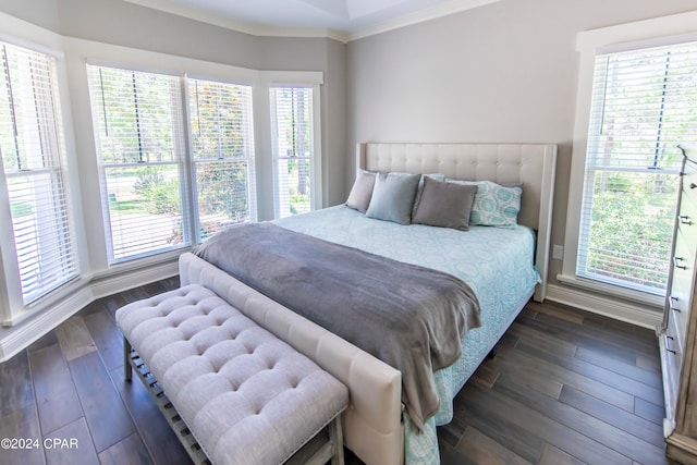 bedroom featuring dark hardwood / wood-style floors, crown molding, and multiple windows