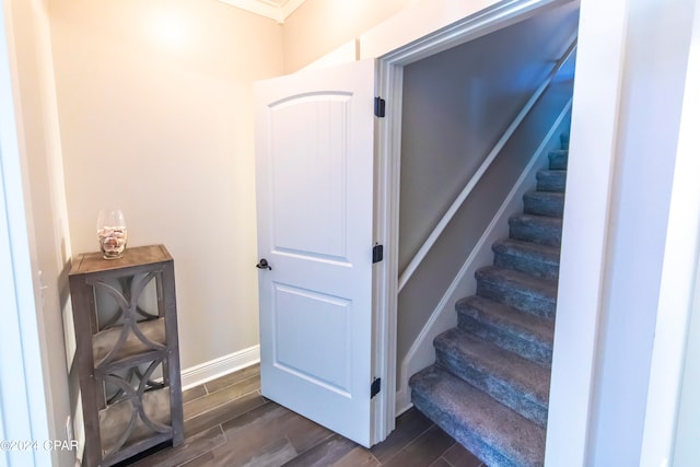 staircase with wood-type flooring