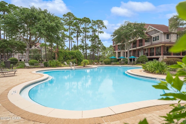 view of swimming pool featuring a patio area