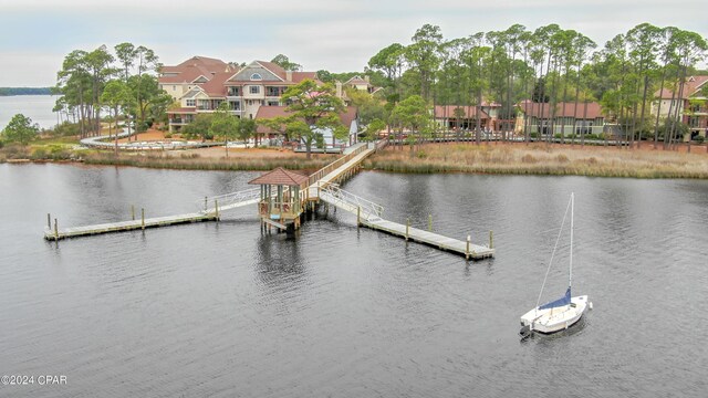 dock area with a water view