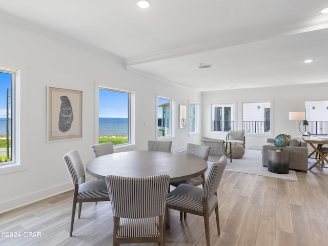 dining space featuring a water view, light wood-type flooring, and a healthy amount of sunlight