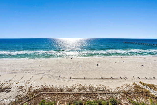 property view of water featuring a beach view