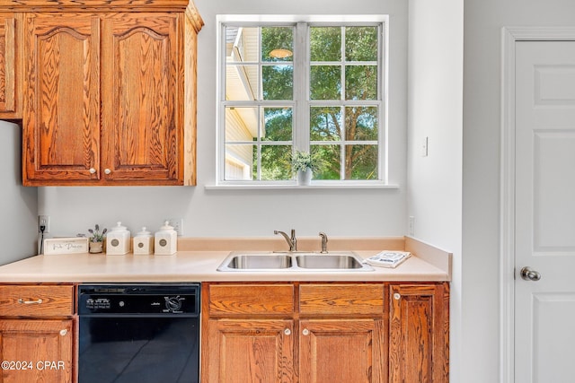 kitchen featuring sink, a healthy amount of sunlight, and dishwasher