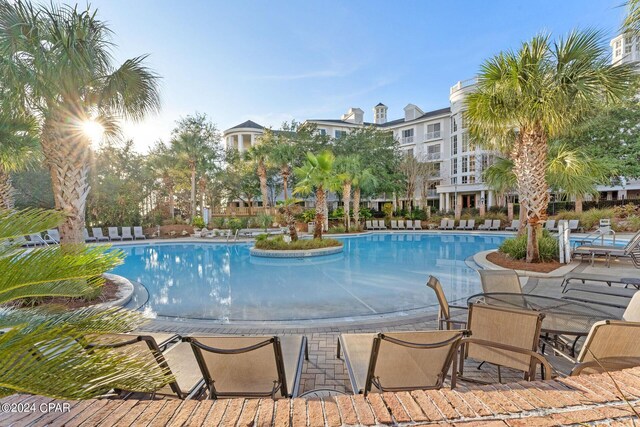 view of swimming pool featuring a patio area