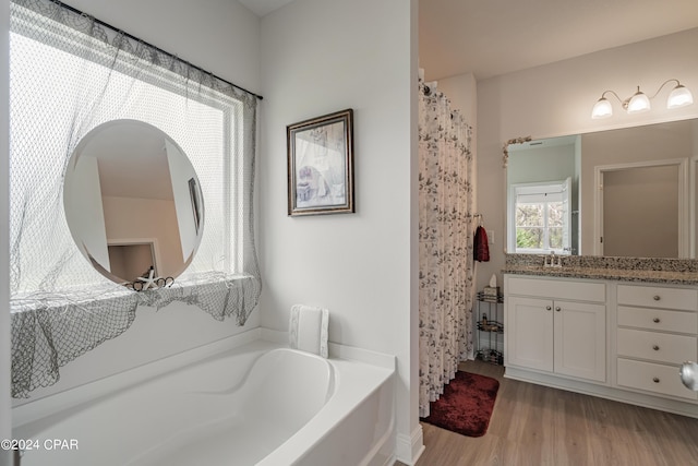 bathroom featuring hardwood / wood-style flooring, a washtub, and vanity