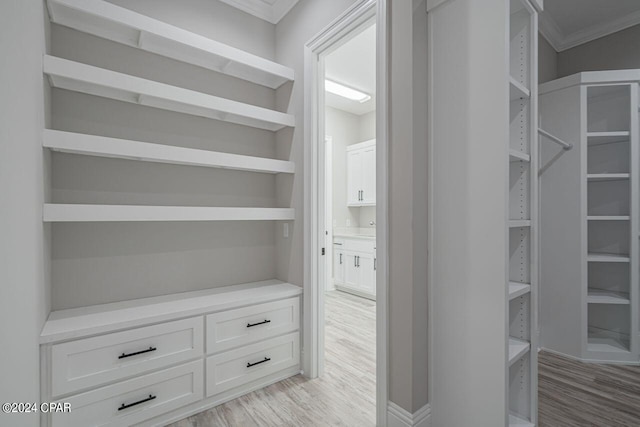 spacious closet featuring light hardwood / wood-style floors