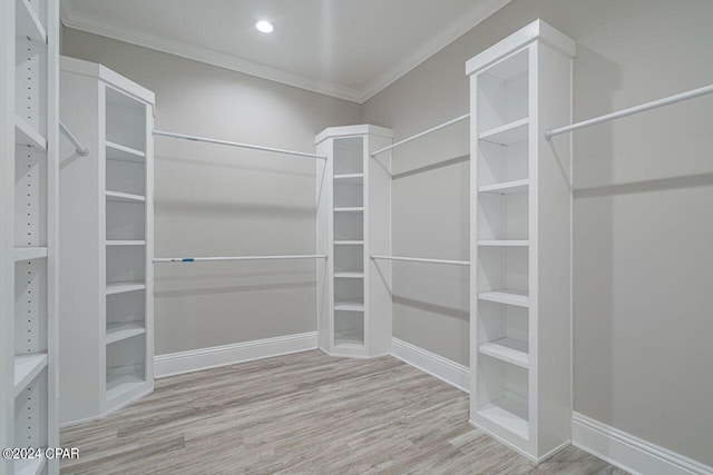 walk in closet featuring light wood-type flooring