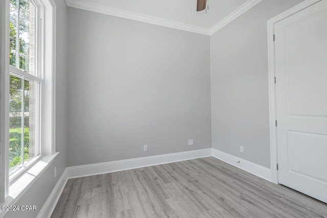 empty room featuring light hardwood / wood-style flooring, ceiling fan, and crown molding