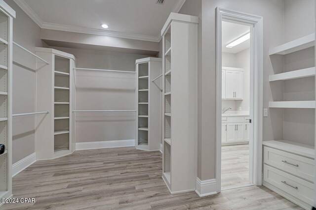 walk in closet featuring light wood-type flooring