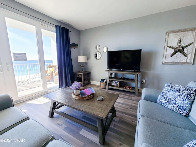 living room with hardwood / wood-style flooring