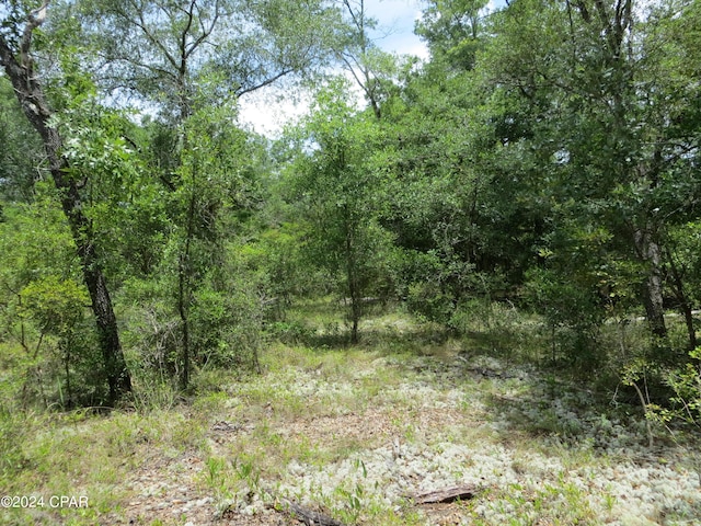 0000 Moss Hill Rd, Chipley FL, 32428 land for sale