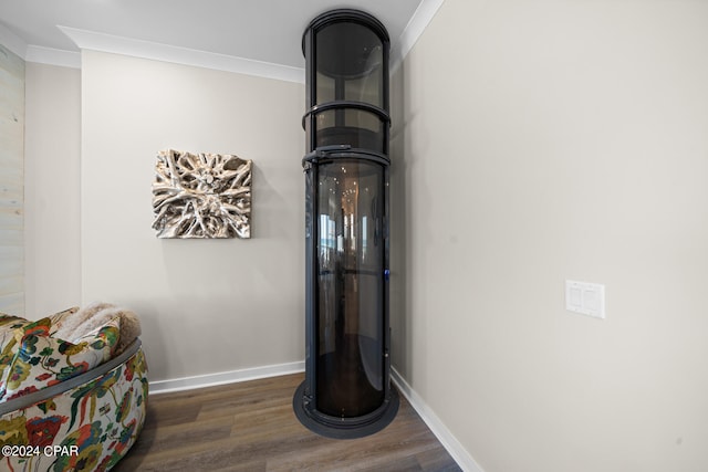 details featuring wood-type flooring and crown molding