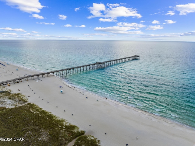 aerial view with a water view and a view of the beach