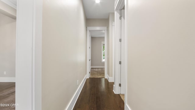 hall with dark hardwood / wood-style flooring