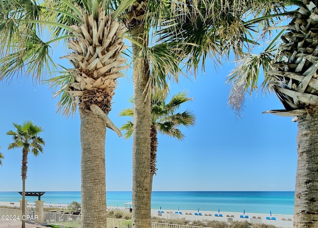 property view of water with a beach view