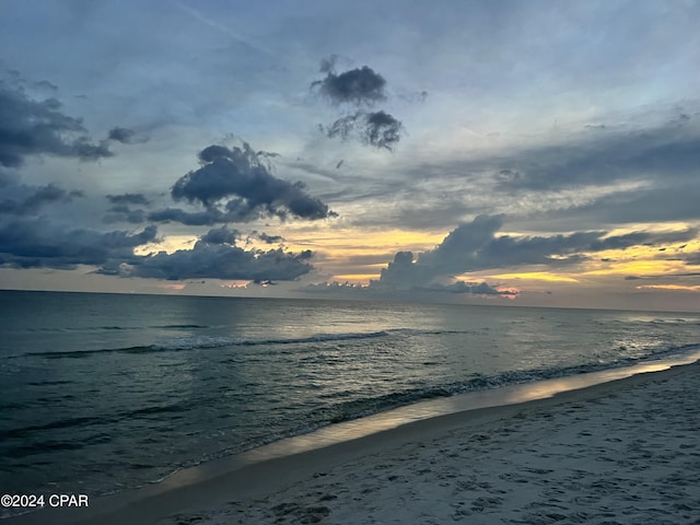 water view featuring a beach view