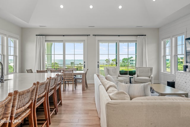 living room with light hardwood / wood-style flooring