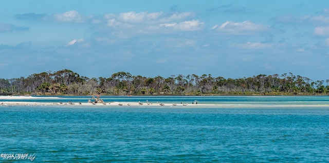 water view with a beach view