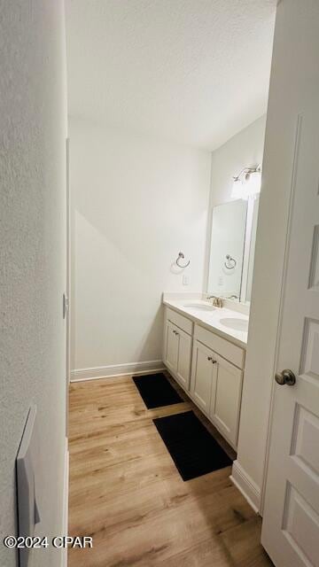 bathroom featuring hardwood / wood-style floors and vanity