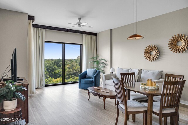 dining room with light wood-type flooring and ceiling fan