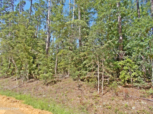 LOT5 Hood Ave, Alford FL, 32420 land for sale