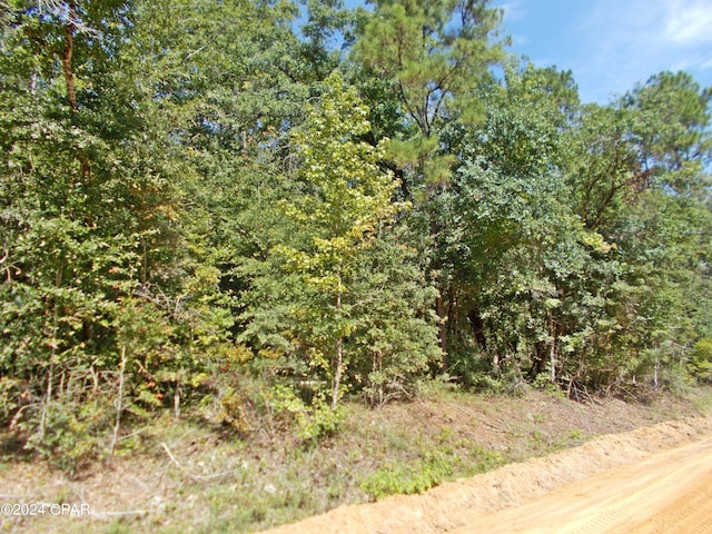 Listing photo 3 for LOT5 Hood Ave, Alford FL 32420